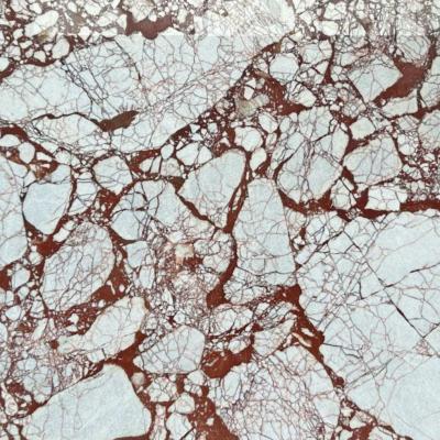 Calacatta Bordeaux